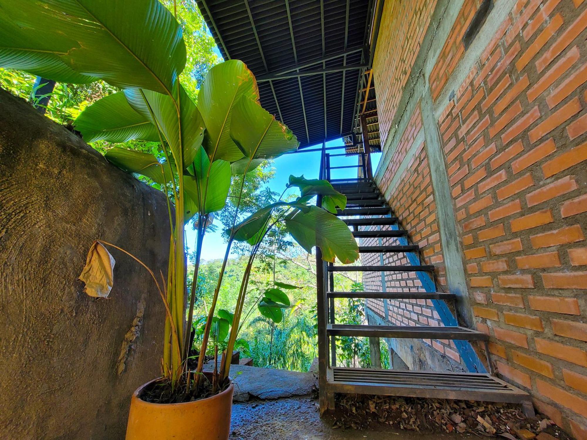 Pistacho Hostel มินกา ภายนอก รูปภาพ