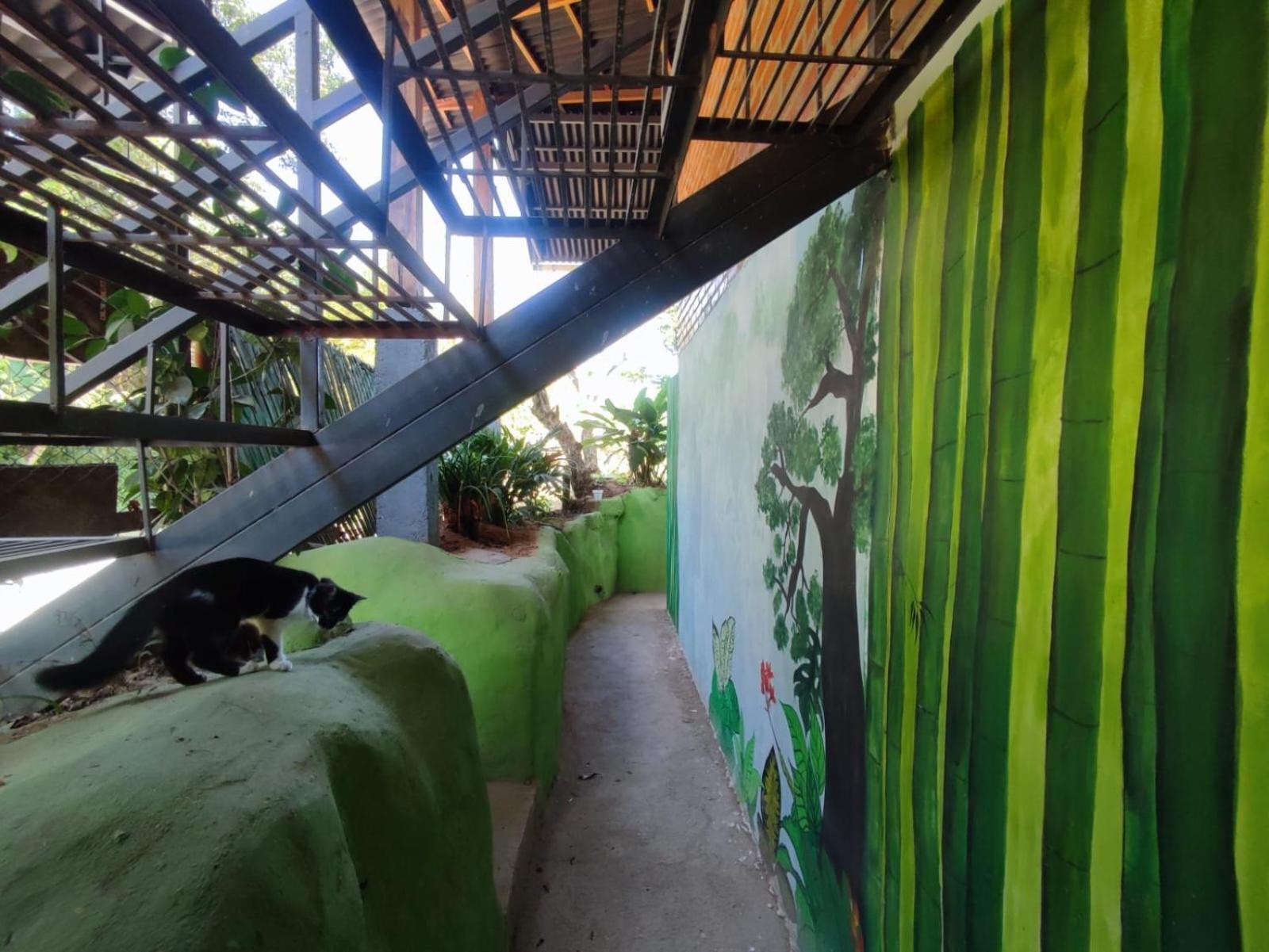 Pistacho Hostel มินกา ภายนอก รูปภาพ